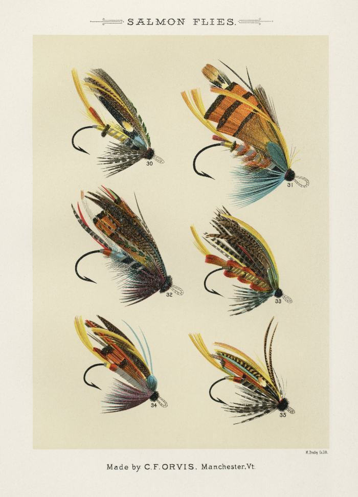 Salmon Flies. Digitally enhanced from the original 1892 edition of Favorite Flies and Their Histories by Mary Orvis Marbury.