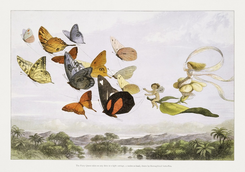 The Fairy Queen Takes an Airy Drive in a Light Carriage, a Twelve–in–hand, drawn by Thoroughbred Butterflies (1870) by Richard Doyle.